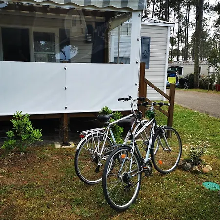 Dunes 209 * 波讷地区圣朱利安