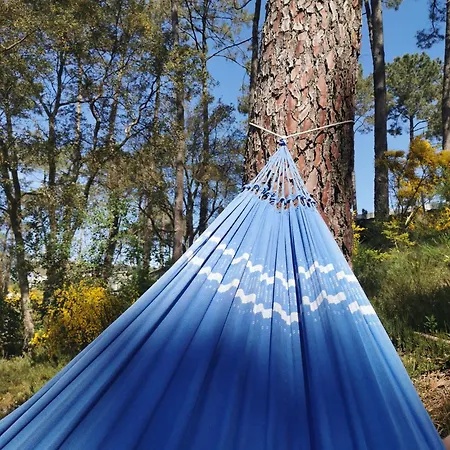 Dunes 209 波讷地区圣朱利安