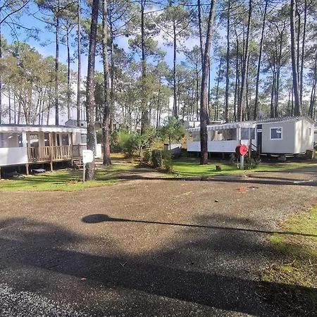 Dunes 209 波讷地区圣朱利安