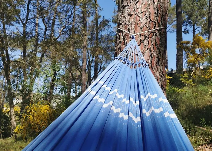 Dunes 209 Saint-Julien-en-Born