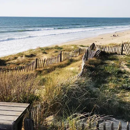Camping Dunes 209