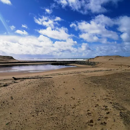 Dunes 209