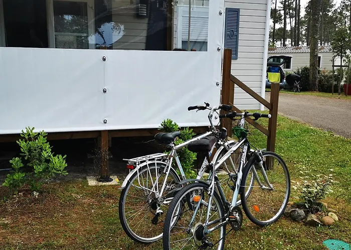 Dunes 209 * Saint-Julien-en-Born