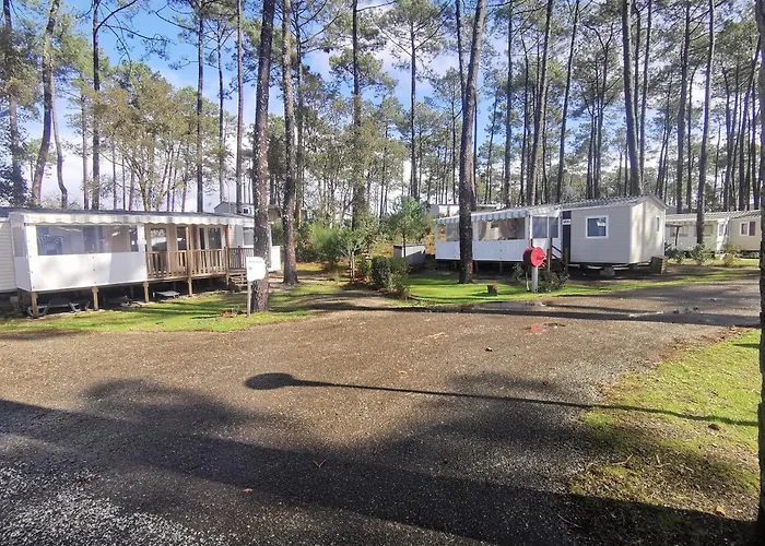 Dunes 209 Saint-Julien-en-Born